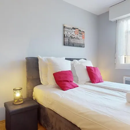 Apartment Petite France With 1 Free Parking Strasbourg